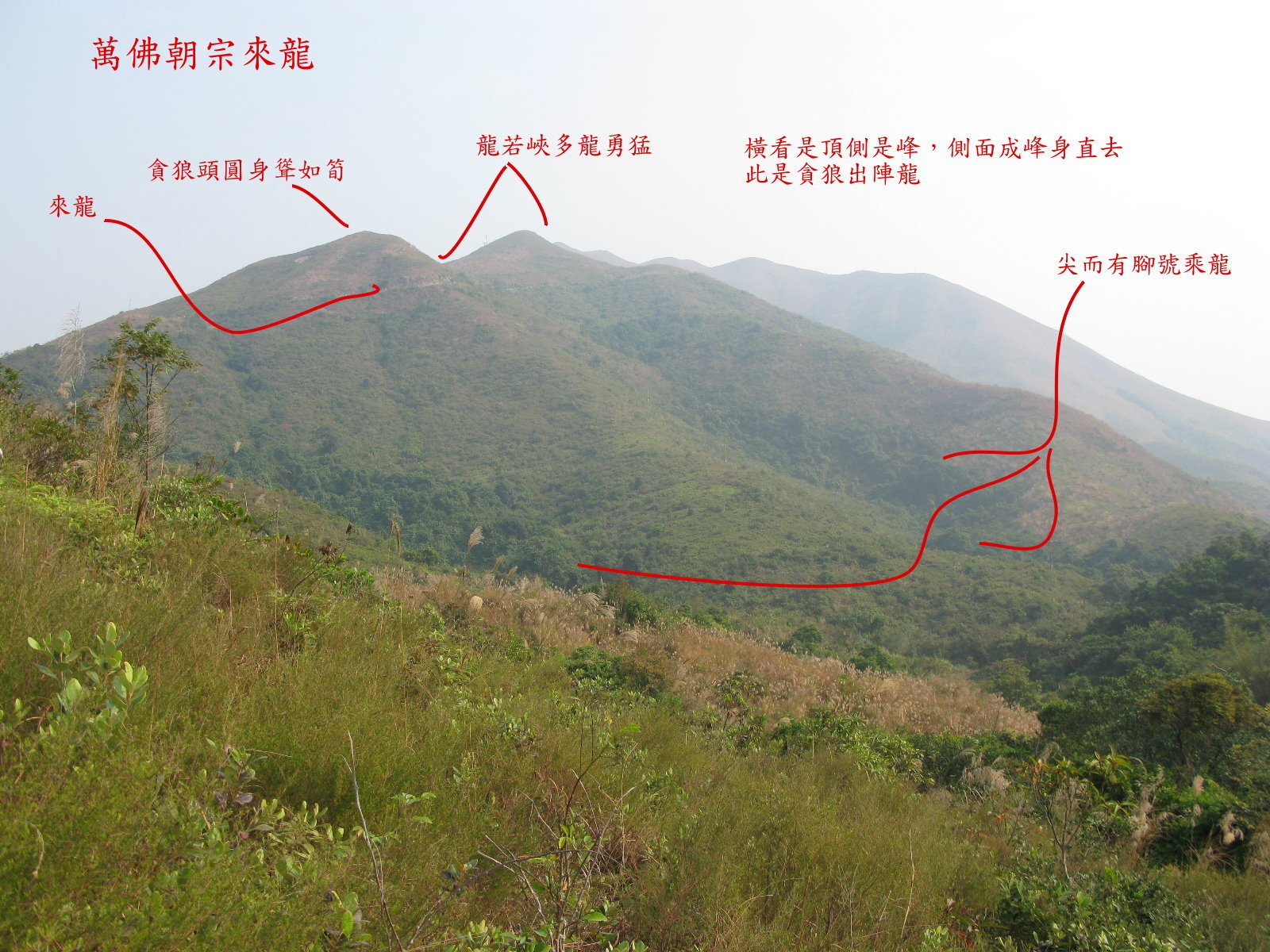 IMG_2868 b.jpg
